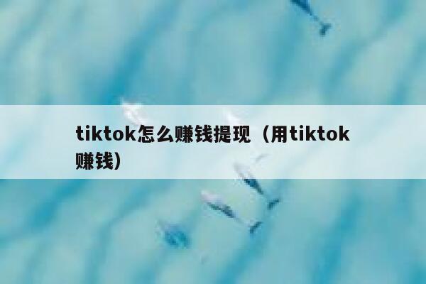 tiktok怎么赚钱提现（用tiktok赚钱） 第1张