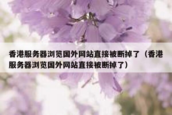 香港服务器浏览国外网站直接被断掉了（香港服务器浏览国外网站直接被断掉了） 第1张