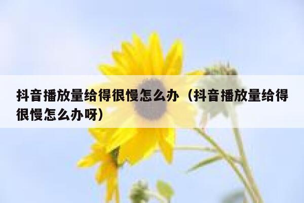 抖音播放量给得很慢怎么办（抖音播放量给得很慢怎么办呀） 第1张