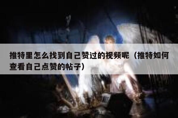 推特里怎么找到自己赞过的视频呢（推特如何查看自己点赞的帖子） 第1张