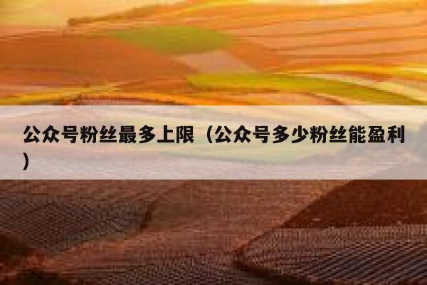 公众号粉丝最多上限（公众号多少粉丝能盈利） 第1张