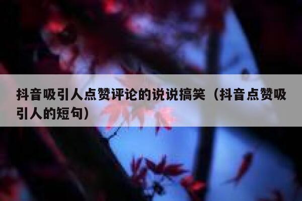 抖音吸引人点赞评论的说说搞笑（抖音点赞吸引人的短句） 第1张