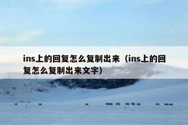 ins上的回复怎么复制出来（ins上的回复怎么复制出来文字） 第1张