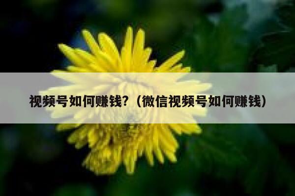 视频号如何赚钱?（微信视频号如何赚钱） 第1张
