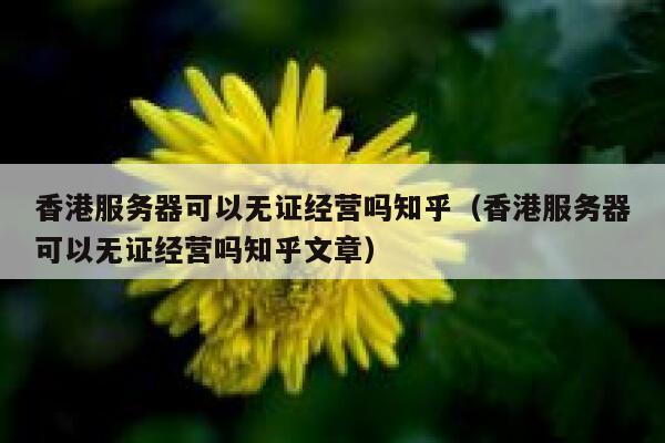 香港服务器可以无证经营吗知乎（香港服务器可以无证经营吗知乎文章） 第1张
