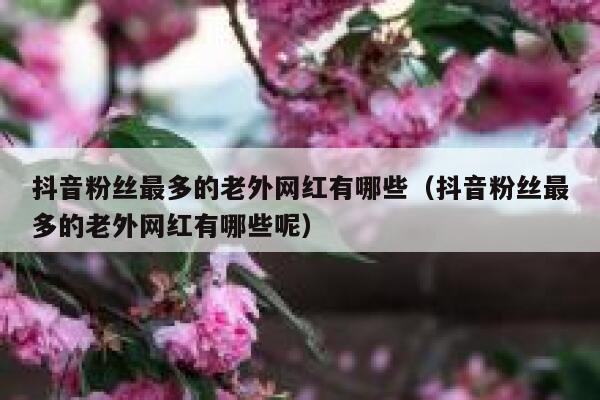 抖音粉丝最多的老外网红有哪些（抖音粉丝最多的老外网红有哪些呢） 第1张