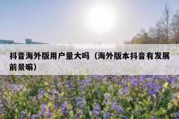 抖音海外版用户量大吗（海外版本抖音有发展前景嘛） 第1张