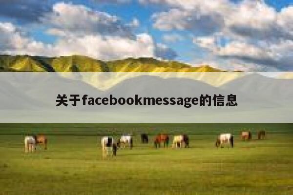 关于facebookmessage的信息 第1张