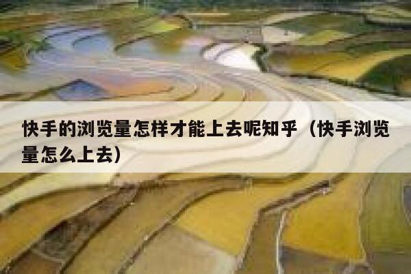 快手的浏览量怎样才能上去呢知乎（快手浏览量怎么上去） 第1张