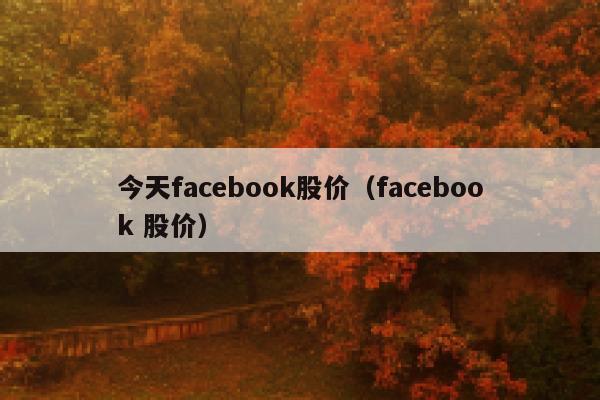 今天facebook股价（facebook 股价） 第1张