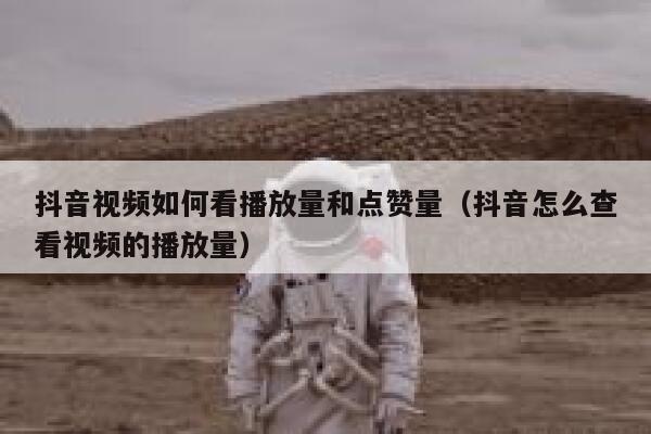 抖音视频如何看播放量和点赞量（抖音怎么查看视频的播放量） 第1张