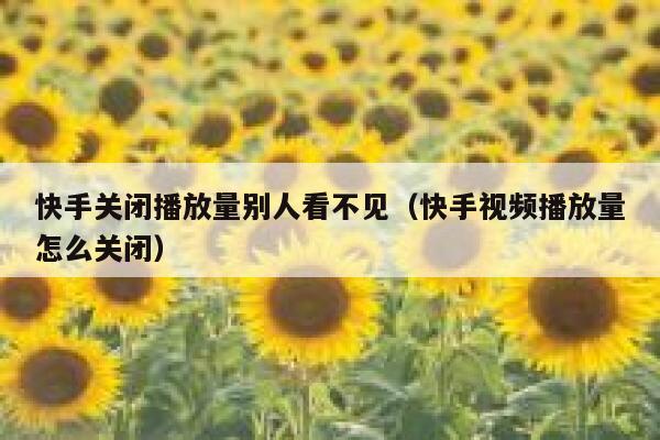 快手关闭播放量别人看不见（快手视频播放量怎么关闭） 第1张