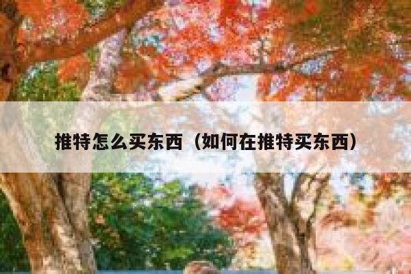 推特怎么买东西（如何在推特买东西） 第1张