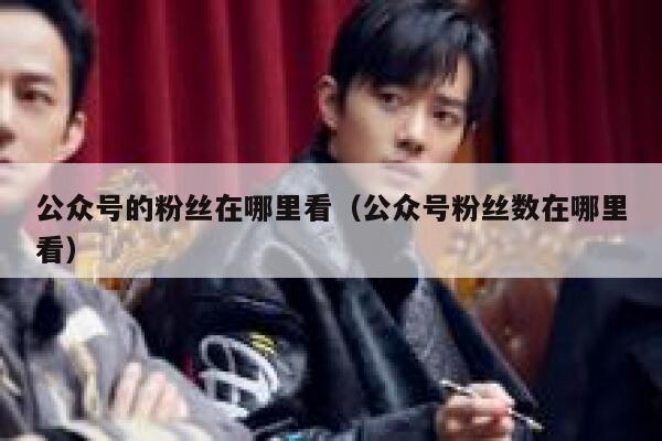 公众号的粉丝在哪里看（公众号粉丝数在哪里看） 第1张