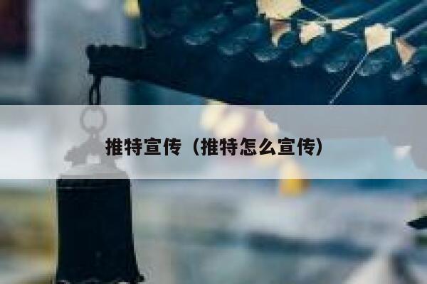 推特宣传（推特怎么宣传） 第1张