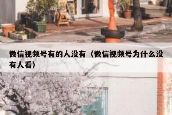 微信视频号有的人没有（微信视频号为什么没有人看） 第1张