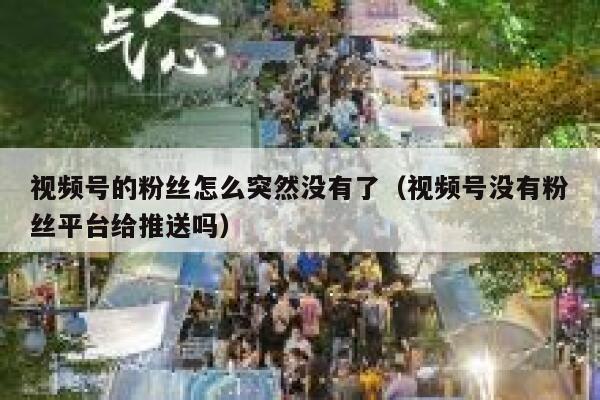 视频号的粉丝怎么突然没有了（视频号没有粉丝平台给推送吗） 第1张
