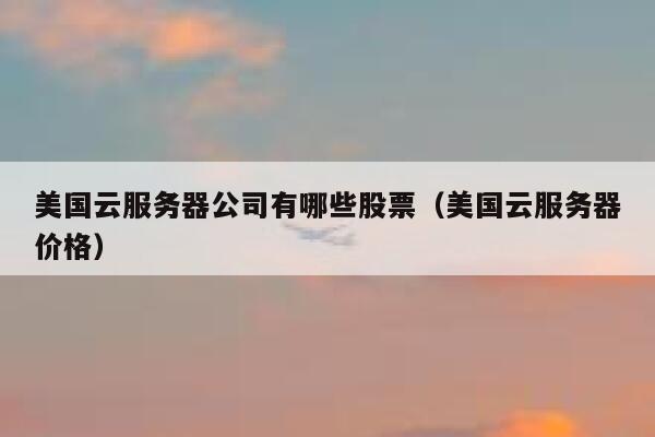 美国云服务器公司有哪些股票（美国云服务器价格） 第1张