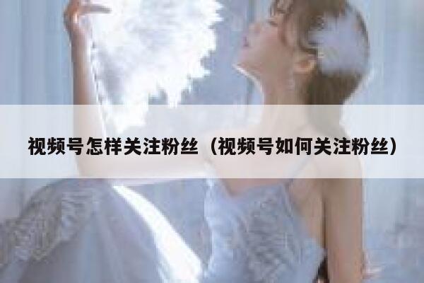 视频号怎样关注粉丝（视频号如何关注粉丝） 第1张