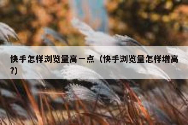 快手怎样浏览量高一点（快手浏览量怎样增高?） 第1张