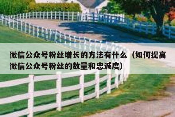 微信公众号粉丝增长的方法有什么（如何提高微信公众号粉丝的数量和忠诚度） 第1张
