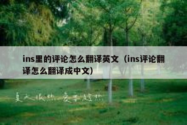 ins里的评论怎么翻译英文（ins评论翻译怎么翻译成中文） 第1张
