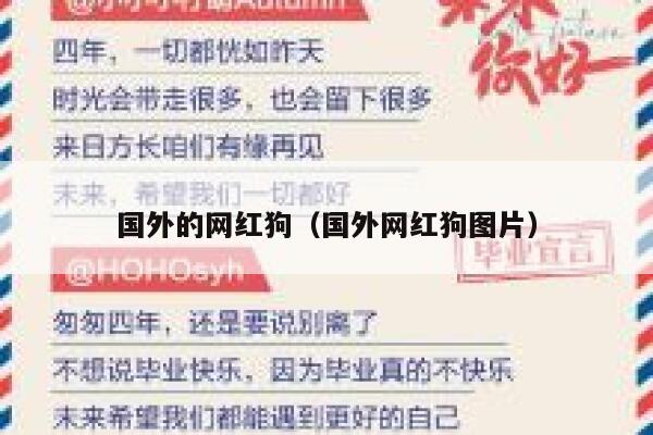 国外的网红狗（国外网红狗图片） 第1张