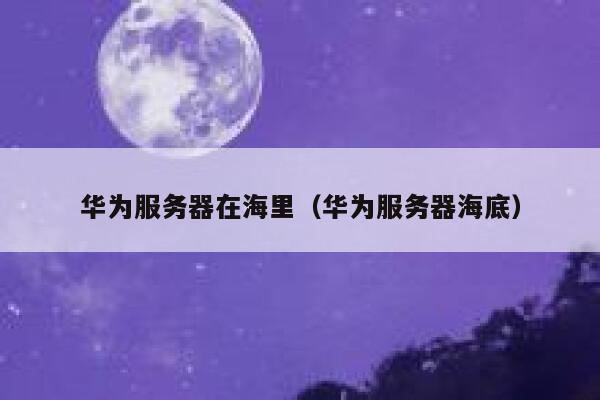 华为服务器在海里（华为服务器海底） 第1张