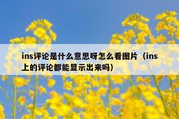 ins评论是什么意思呀怎么看图片（ins上的评论都能显示出来吗） 第1张