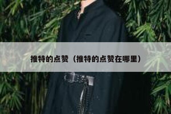 推特的点赞（推特的点赞在哪里） 第1张
