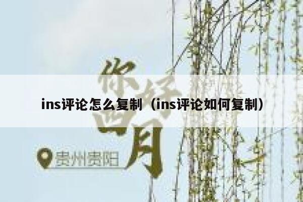 ins评论怎么复制（ins评论如何复制） 第1张
