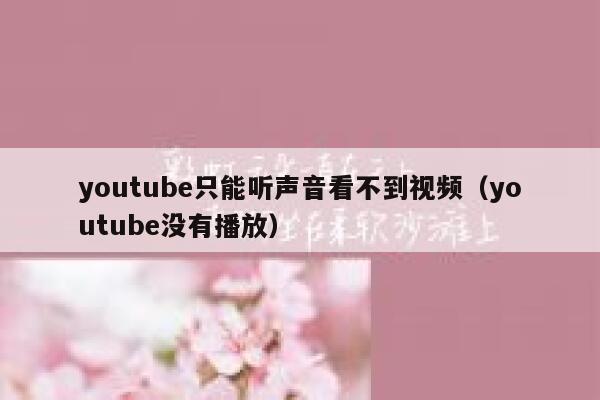 youtube只能听声音看不到视频（youtube没有播放） 第1张