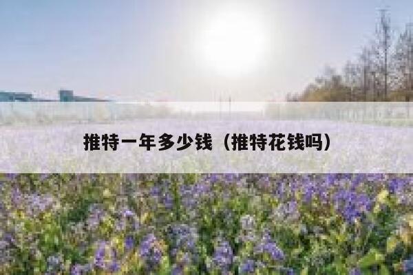 推特一年多少钱（推特花钱吗） 第1张