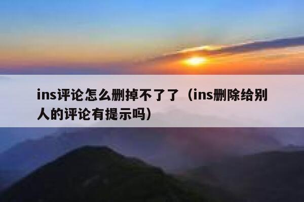 ins评论怎么删掉不了了（ins删除给别人的评论有提示吗） 第1张