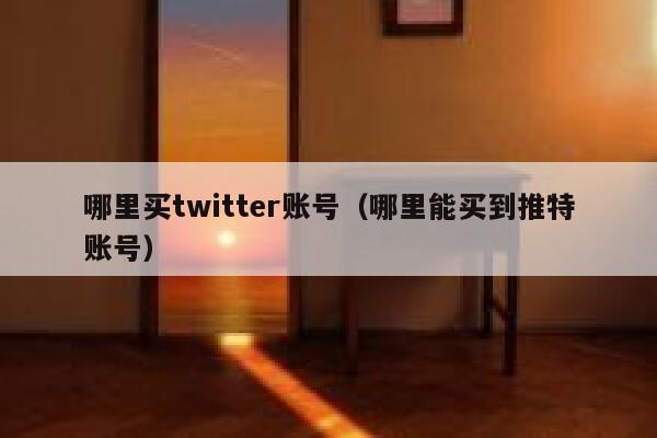 哪里买twitter账号（哪里能买到推特账号） 第1张