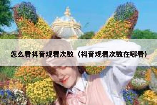 怎么看抖音观看次数（抖音观看次数在哪看） 第1张