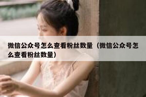 微信公众号怎么查看粉丝数量（微信公众号怎么查看粉丝数量） 第1张