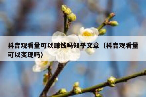 抖音观看量可以赚钱吗知乎文章（抖音观看量可以变现吗） 第1张