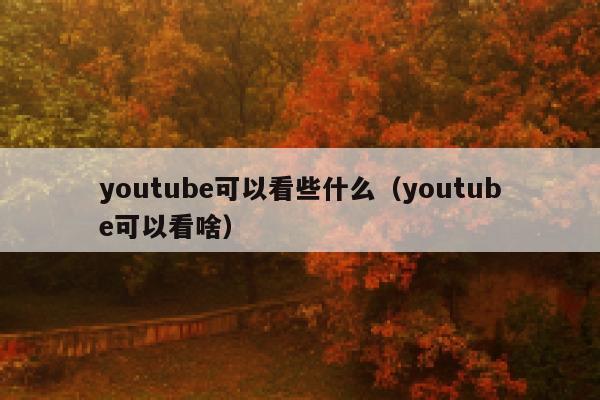 youtube可以看些什么（youtube可以看啥） 第1张