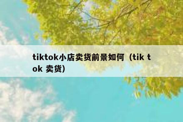 tiktok小店卖货前景如何（tik tok 卖货） 第1张
