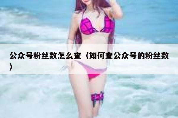 公众号粉丝数怎么查（如何查公众号的粉丝数） 第1张