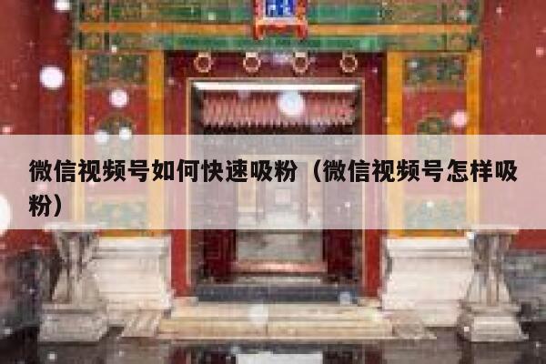 微信视频号如何快速吸粉（微信视频号怎样吸粉） 第1张