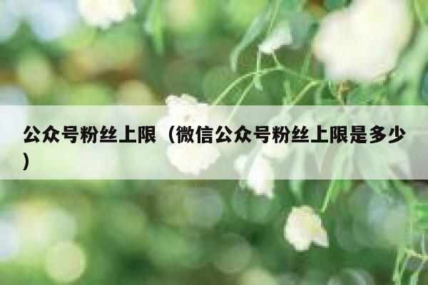 公众号粉丝上限（微信公众号粉丝上限是多少） 第1张