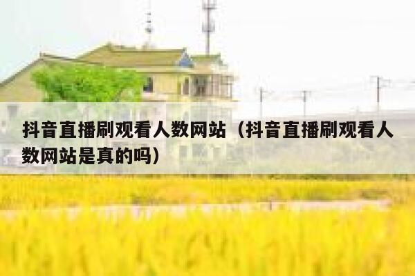 抖音直播刷观看人数网站（抖音直播刷观看人数网站是真的吗） 第1张