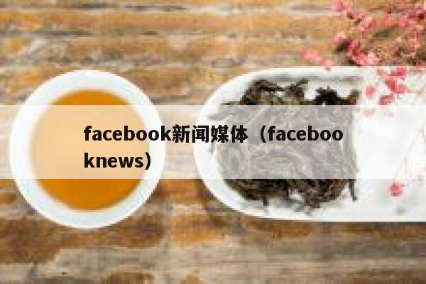 facebook新闻媒体（facebooknews） 第1张