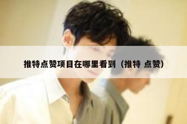 推特点赞项目在哪里看到（推特 点赞） 第1张