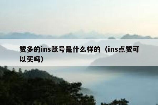 赞多的ins账号是什么样的（ins点赞可以买吗） 第1张