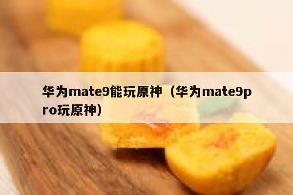华为mate9能玩原神（华为mate9pro玩原神） 第1张