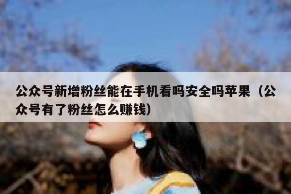公众号新增粉丝能在手机看吗安全吗苹果（公众号有了粉丝怎么赚钱） 第1张