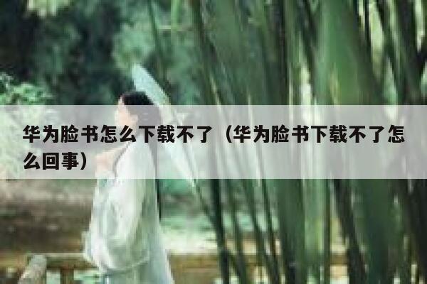 华为脸书怎么下载不了（华为脸书下载不了怎么回事） 第1张